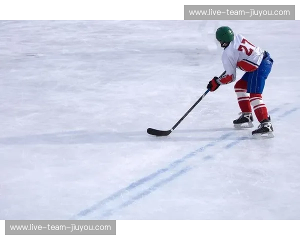 曲棍球资讯:赛场热讯与入门指南,点燃你的曲棍球热情